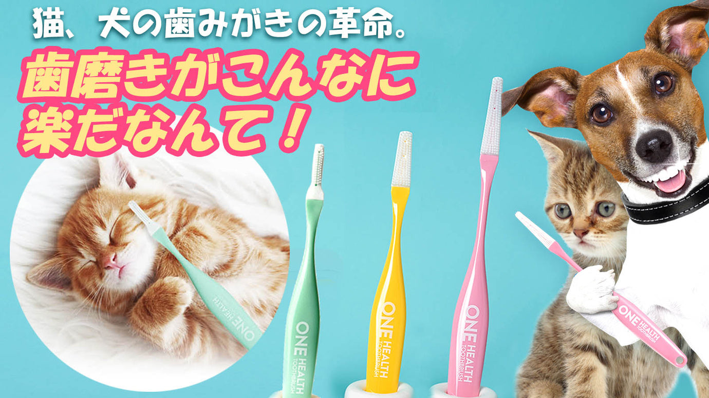 我が家のペットの歯みがき習慣、「ONE HEALTH 2.0」超Sサイズが登場!