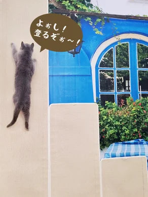 【垂直空間】壁貼りつけ用カーペットで遊び空間がぐんと広がる！ダダダ猫用爪とぎ