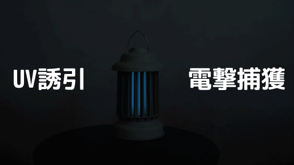 【防水×強力退治】デュアル波長で不快害虫を“おびき寄せ”＋“電撃捕獲”！