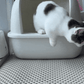 猫のトイレの前に敷くだけで、お手入れがぐんと楽になります ! ネコちゃんマット