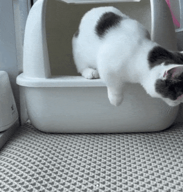 猫のトイレの前に敷くだけで、お手入れがぐんと楽になります ! ネコちゃんマット